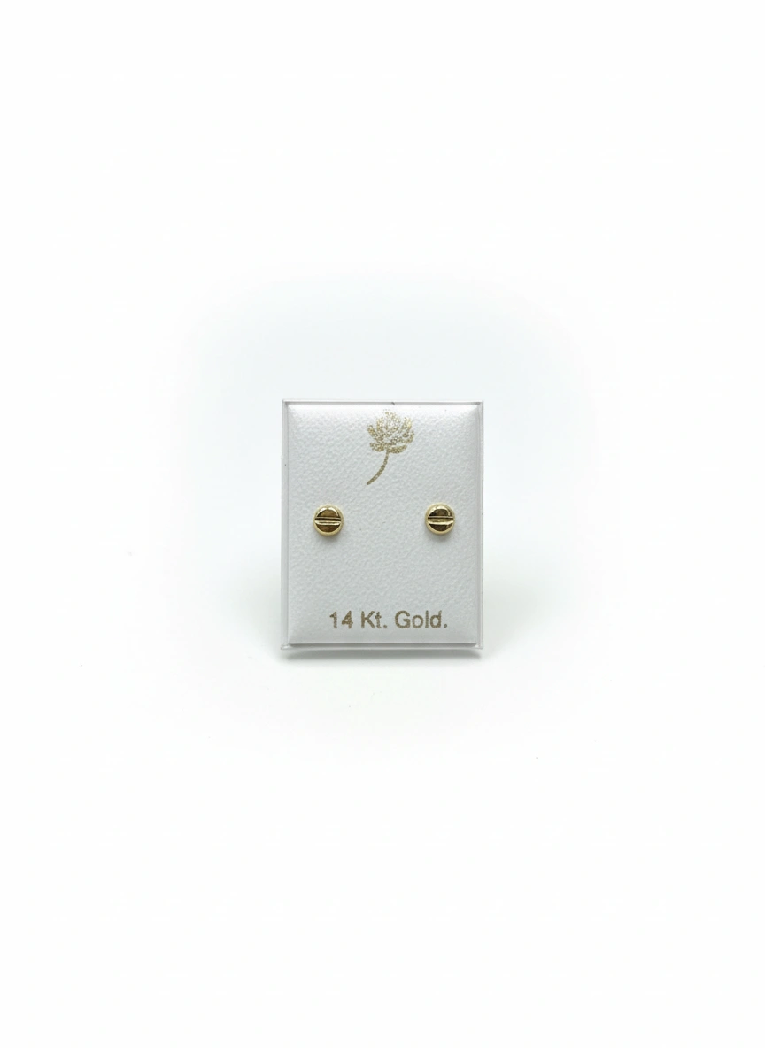 Aretes  14K