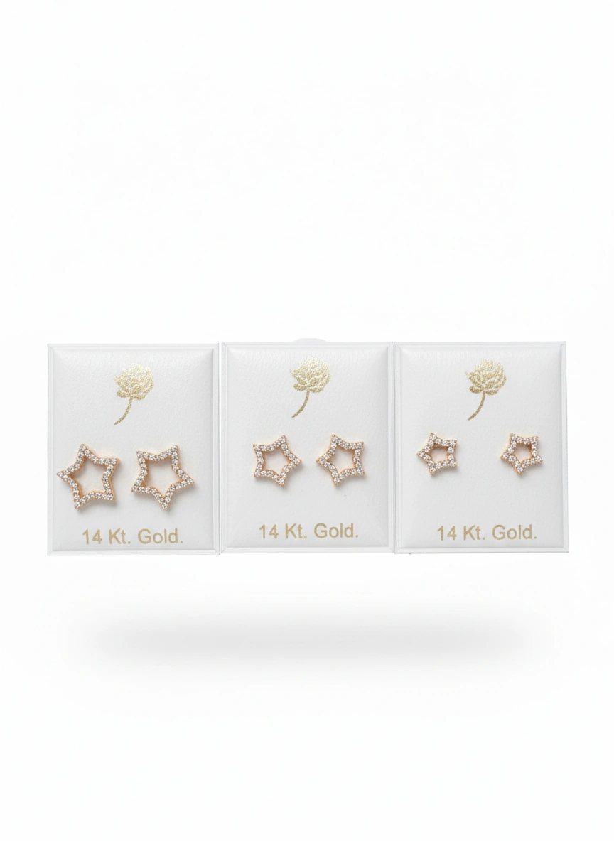 Aretes de estrella 14k - Big