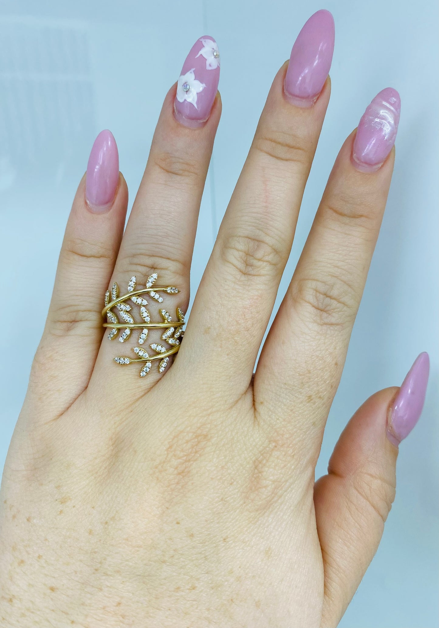 Anillo ramas 10k