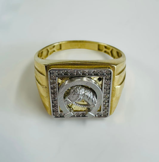 Anillo caballo y herradura de hombre 10k