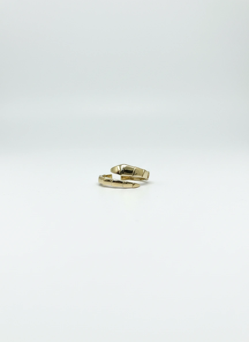 Snake ring 10k