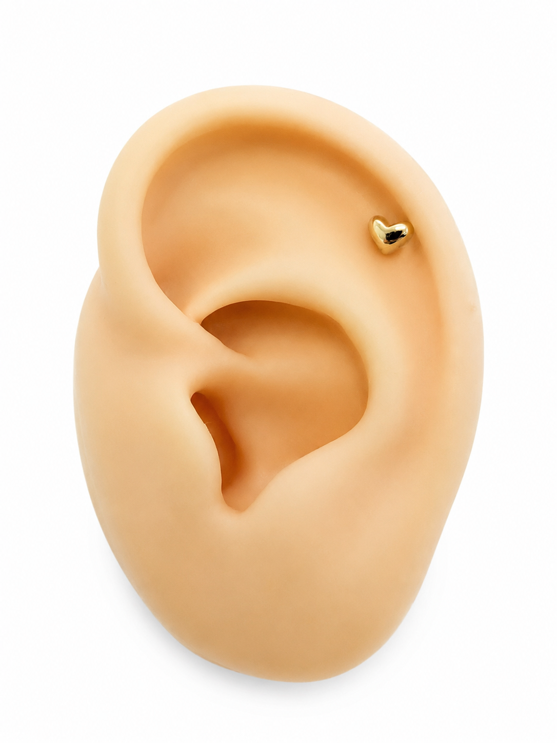 Piercing  de cartílago 14k