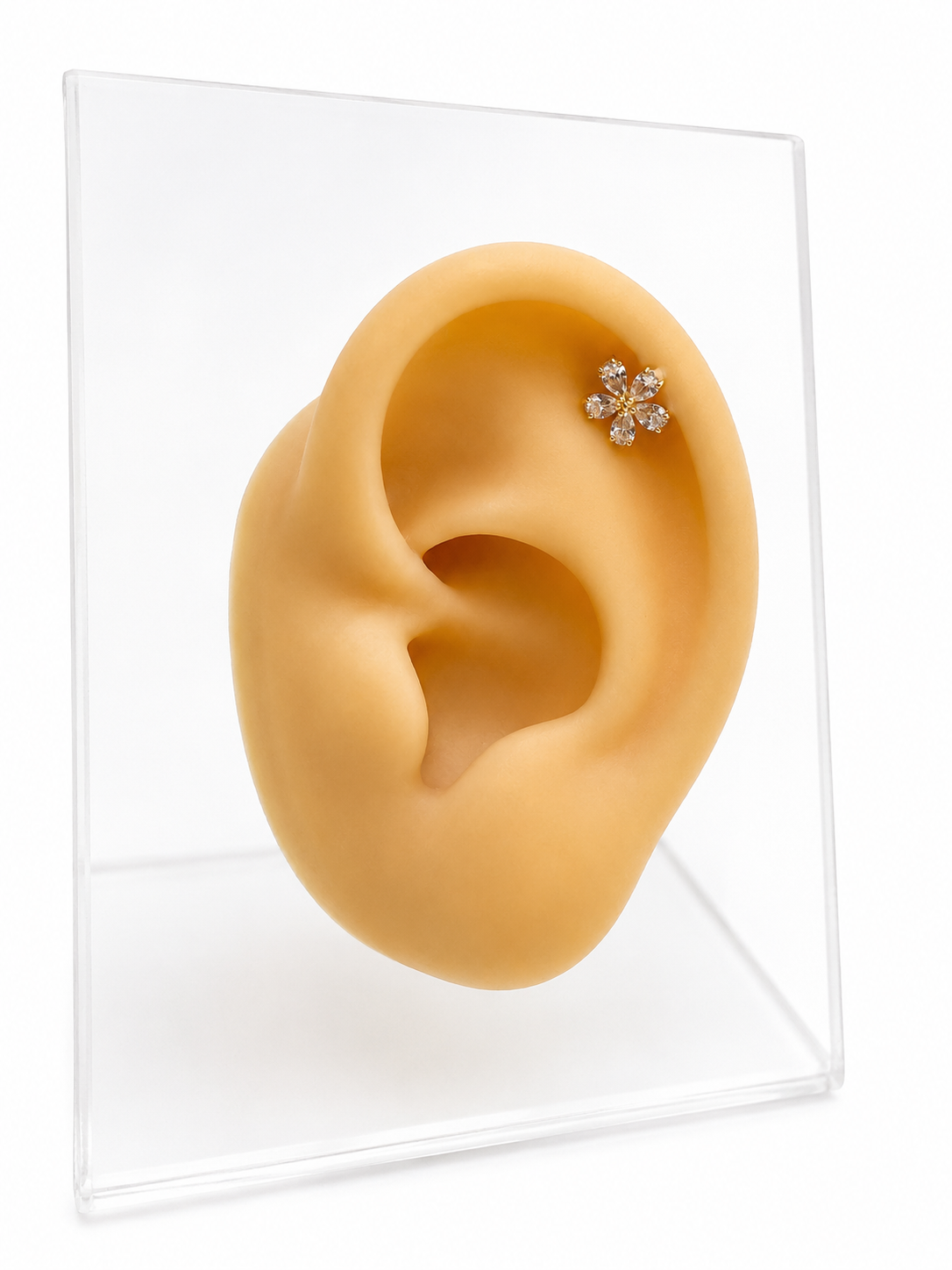 Piercing de Cartílago 14k