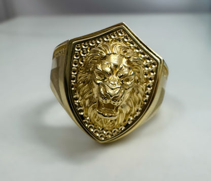 Anillo de hombre macizo 14k